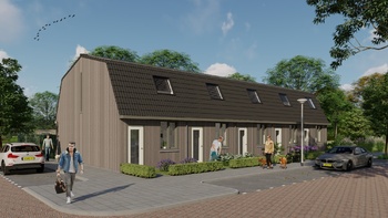 Sfeerimpressie Compact house_Linksvoor_houten bekleding grijs.jpg